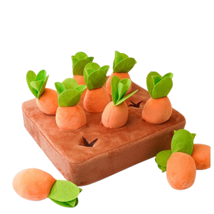 Голяма кутия с меки моркови